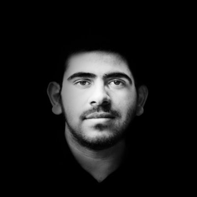 Artist, illustrator, programmer, web developer, graphic designer, photographer.