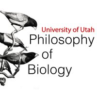 Matt Haber (@profmatthaber) 's Twitter Profile