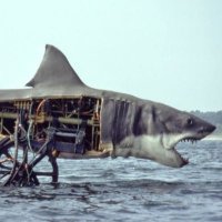 Machine Shark Productions (@machinesharkpro) 's Twitter Profile