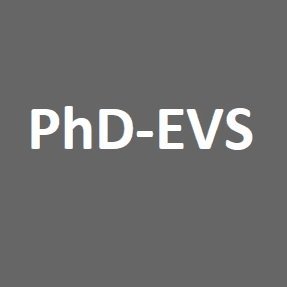 PhD-EVS is an online webinar series for Econ PhD candidates and early career economists. Our webinars take place every Thursday at 4 pm London time.