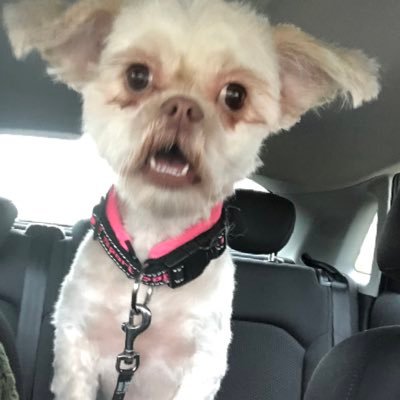 RoelofKijlstra's profile picture. 