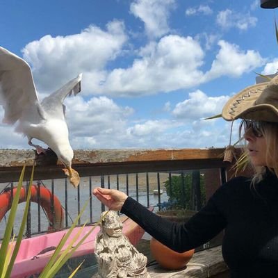 Music Making Piano Tinkling Bird out to save the planet!  Favourite Quay Sea minor. Songwriter/Composer #StandWithUkraine NEW BOOK OUT
https://t.co/XONsMz0dfH