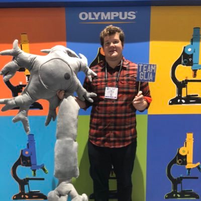 markdoesscience's profile picture. I study microglia and plasticity in the cerebellum, mainly with two-photon! PhD student @URNeuroscience in the Majewska Lab