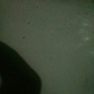 dickiy12345678's profile picture. Kata orang aku ini pendiam tp kl di ranjang bole di coba