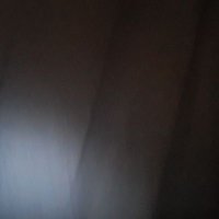 Tree (@tree44517563) 's Twitter Profile