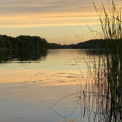 andrew_scheil's profile picture. 