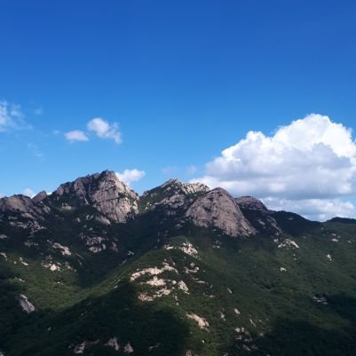 youngdongkr's profile picture. South Korea