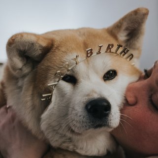 cnstockm's profile picture. She/her //fic writter // multifandom //Kacchako for the moment // 30 yo // https://t.co/hzG05LSxP8 - conchito