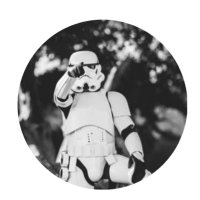 feiyu (@feiyu60861616) 's Twitter Profile