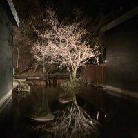 ライオネルベルチコフ (@ryosuke95329311) 's Twitter Profile