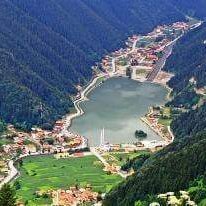 1991Dubai's profile picture. love to visit places