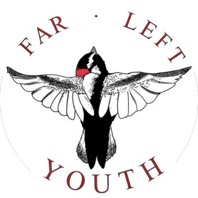 Former youth-run leftist community education group using its platform to center oppressed voices and demands in “CO” https://t.co/Gn5IzHKYkm FB+insta: marxfolks