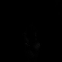 Coach Nick Munn (@munncoach) 's Twitter Profile