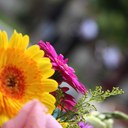 Rick Logan - @seasonsettings - Twitter