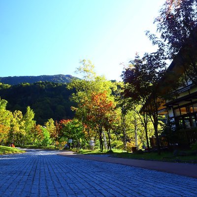 App__Law's profile picture. 情報収集用