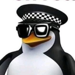 JimmyPr98866341's profile picture. 