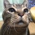 あっくん (@airscratch) Twitter profile photo あっくん (@airscratch) Twitter profile photo