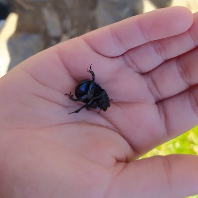 Ricardo97272296's profile picture. 