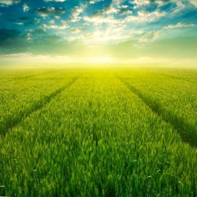 Morning is The Best Time .
what you think and you do that reflect in your future time.