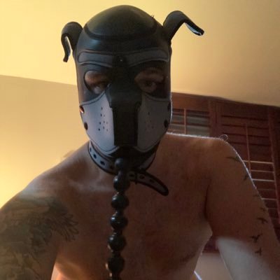 Here to take and service any dom, fill me at your will. #blindfoldedcumdump #pig #pup #anyload #breedme