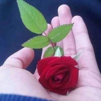 Sakaryaliokan (@sakaryaliokan1) Twitter profile photo