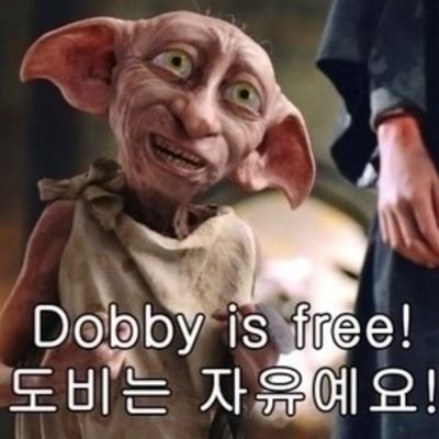 zdrfvhujm99's profile picture. 