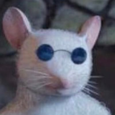 wnnieahite's profile picture. I'll sweet ur potato