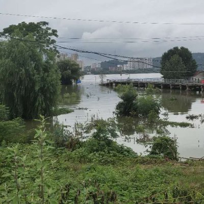 yang09106's profile picture. 关注@Oddz_Finance❤️ Memecoin