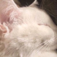 Ismini vermek istemeyen seyirci ☇ (@beklentisizli) Twitter profile photo