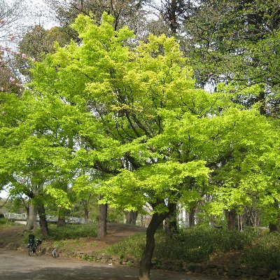 文化団体連合会(文連)は、早稲田の伝統ある文化系サークルが集う、早稲田唯一のサークル連合体です。加盟サークルはそれぞれの場で、早稲田のサークル文化を創造的に発展させています。同時に、連合体のつながりを生かし、サークル補助金の増額や施設・備品の更新・拡充など、サークル活動上の諸問題を解決するために協力・連携しています。