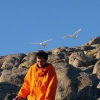 Frédéric Angelier (@fangelier) 's Twitter Profile