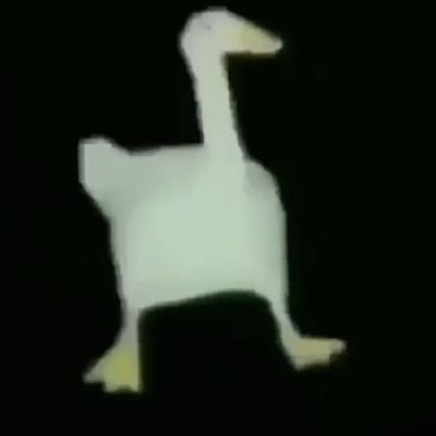 Codeerrors2's profile picture. honk