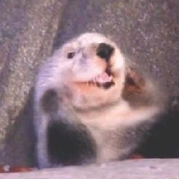 xxxxdearestxxxx's profile picture. MY FAVOURITES🌟
제발 구독하게해주세요 선량한 구독계임 엉엉