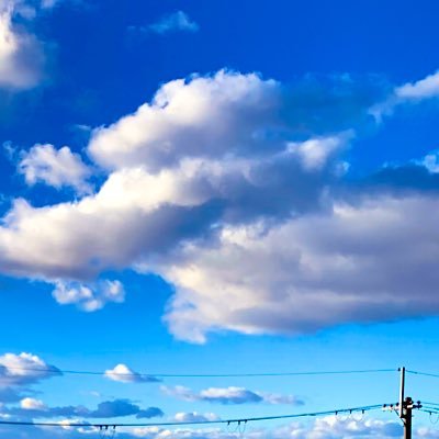 aro55077340's profile picture. Mリーグ 推しチーム→雷電⚡️最推し→本田さん