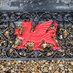 The_Stables (@brynawelwales) Twitter profile photo The_Stables (@brynawelwales) Twitter profile photo
