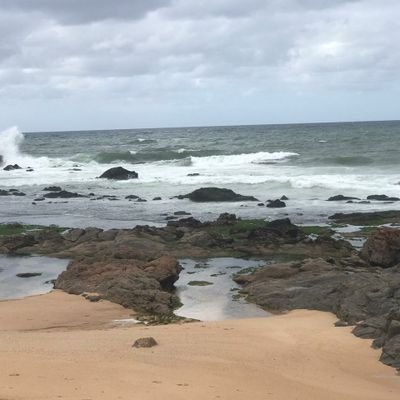 Sjs741's profile picture. A energia.