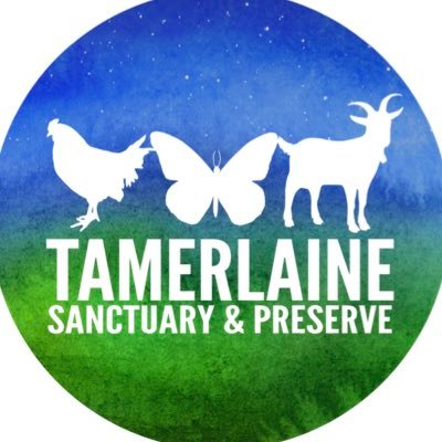 TamerlaineFAS Profile Picture