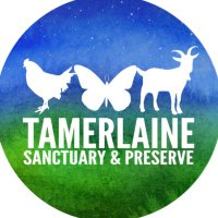 Tamerlaine Sanctuary & Preserve (@tamerlainefas) 's Twitter Profile Photo Tamerlaine Sanctuary & Preserve (@tamerlainefas) 's Twitter Profile Photo
