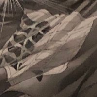 ひじきサラダ77🤎💜 ☪🦷💘 (@jiiymkpjwtbf7up) 's Twitter Profile