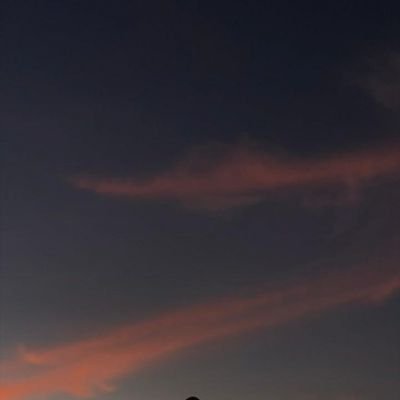 panggilsajaarob's profile picture. 