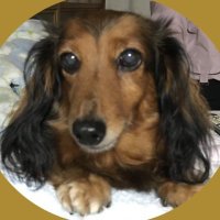 紅林 Benny 蒼子 (@benny5885) 's Twitter Profile Photo 紅林 Benny 蒼子 (@benny5885) 's Twitter Profile Photo
