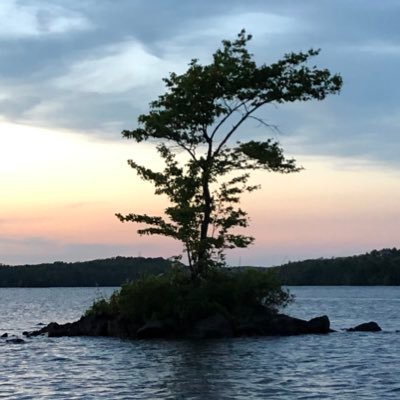 trayirish's profile picture. 