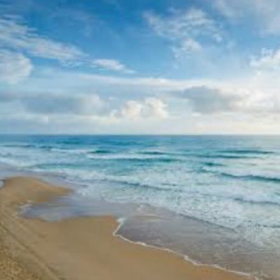 mill_hills's profile picture. 