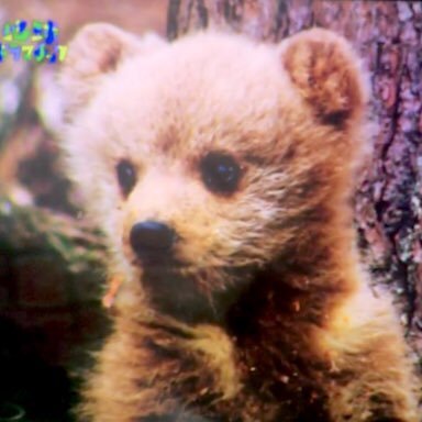 ちくさんのプロフィール画像