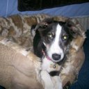 james harries - @james__harries - Twitter