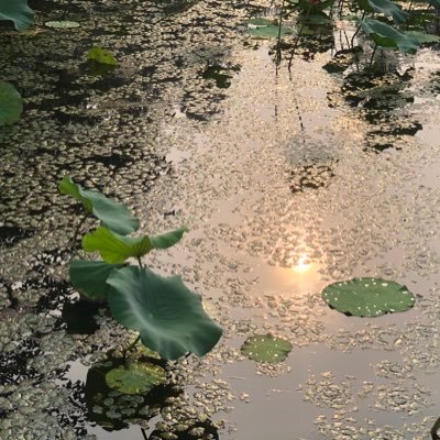 kaixinforever's profile picture. 