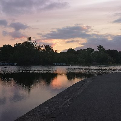 GoodMurphyx's profile picture. 