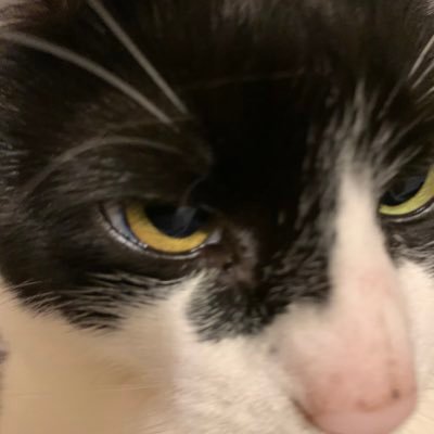 erwaldx1's profile picture. Librarian, education student, and aspiring school media librarian