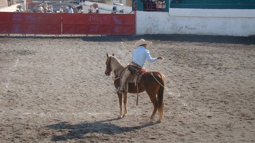 Entérate de  lo que sucede alrededor de la charrería. Miércoles de 6 a 7 P.M. Televisión del Valle, en Hidalgo. Síguenos en Facebook Desdén de la Charrería.