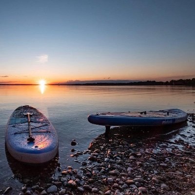 surtx's profile picture. 